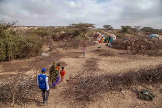 IOM launches USD 24.6 million drought appeal for Somalia